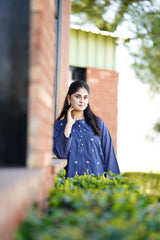 2 Pc Embroidered Lawn Stitched - LILA